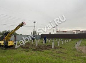 IMG 4931 300x222 - IMG_4931